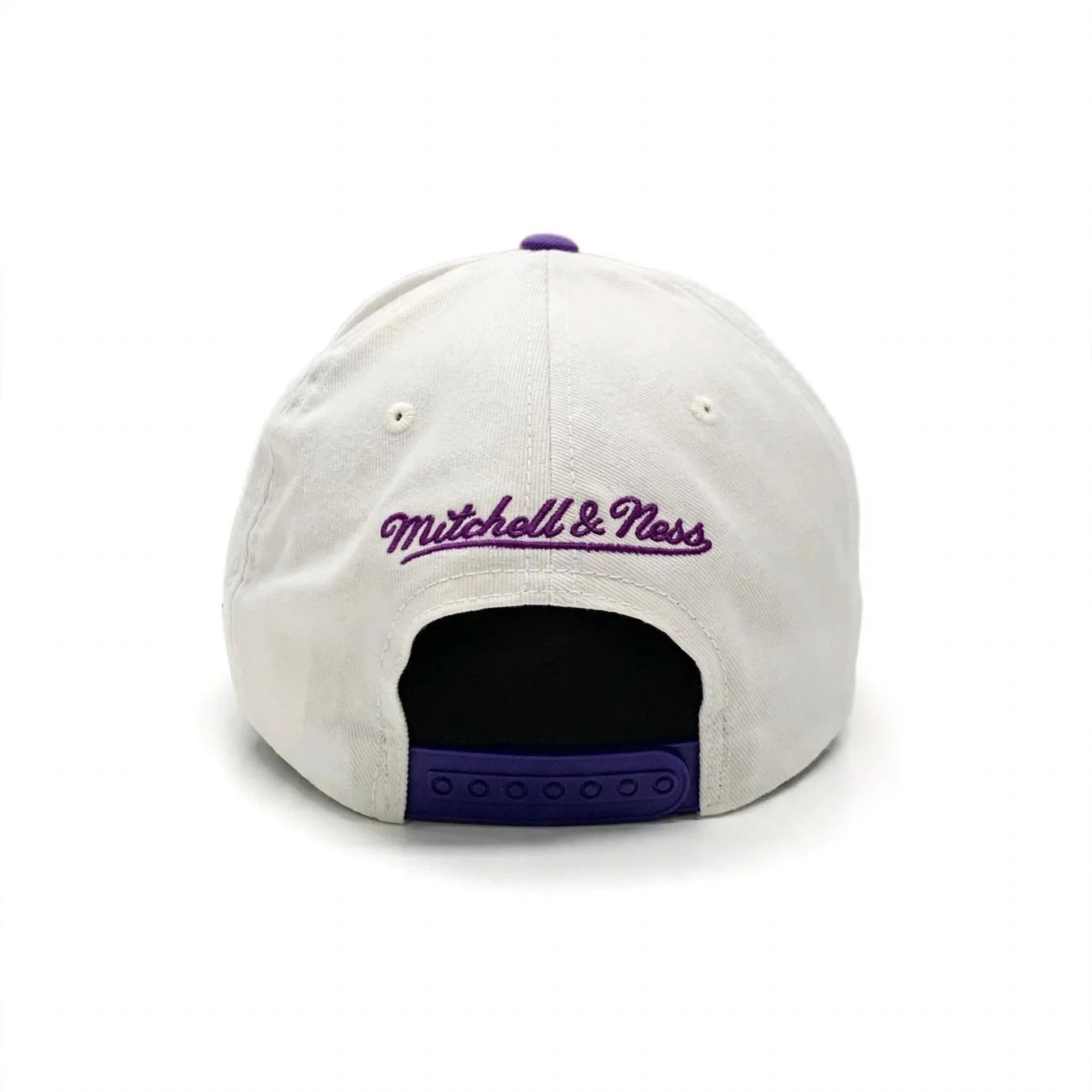 Mitchell & Ness NBA Flexfit 110 Team Arch Los Angeles Lakers
