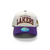 Mitchell & Ness NBA Flexfit 110 Team Arch Los Angeles Lakers