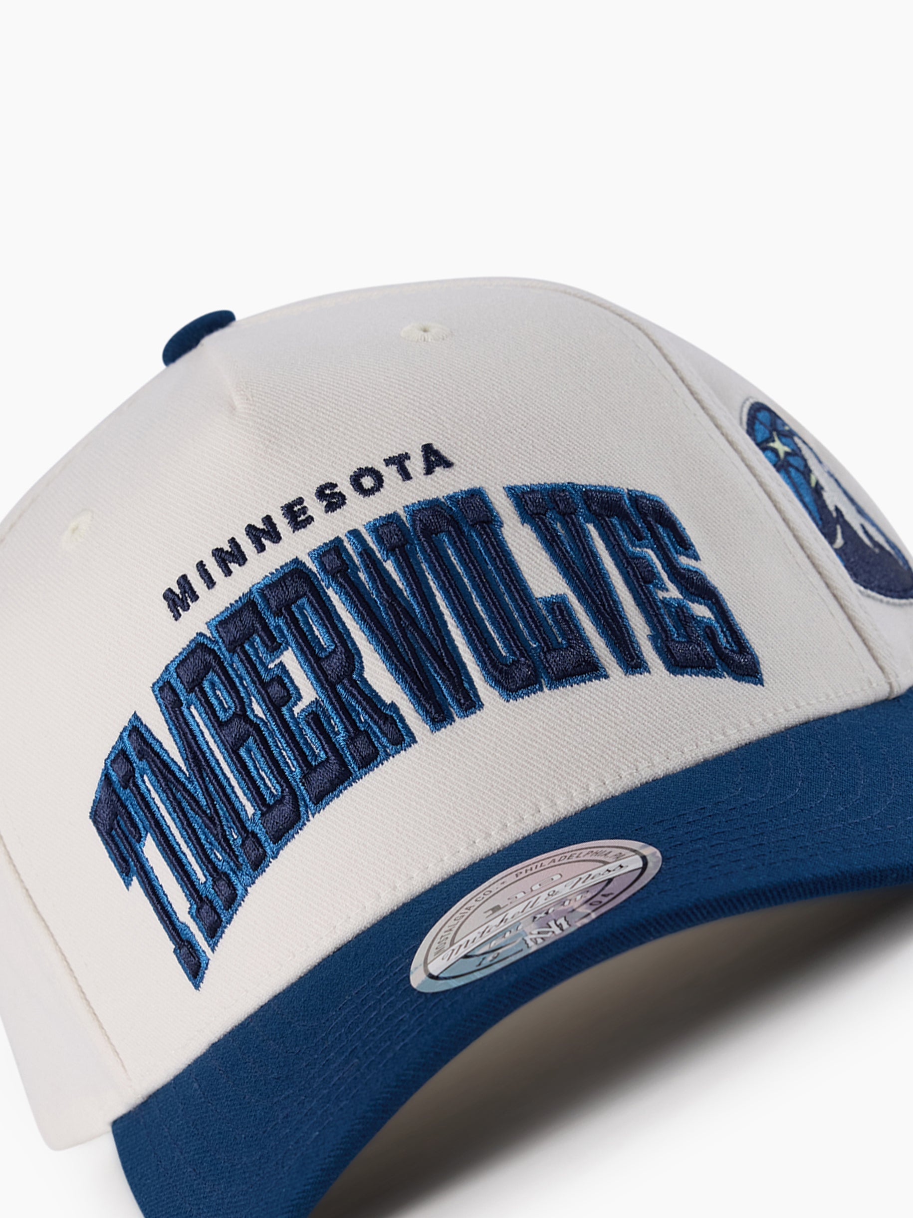 Mitchell & Ness NBA Flexfit 110 Team Arch Minnesota Timberwolves