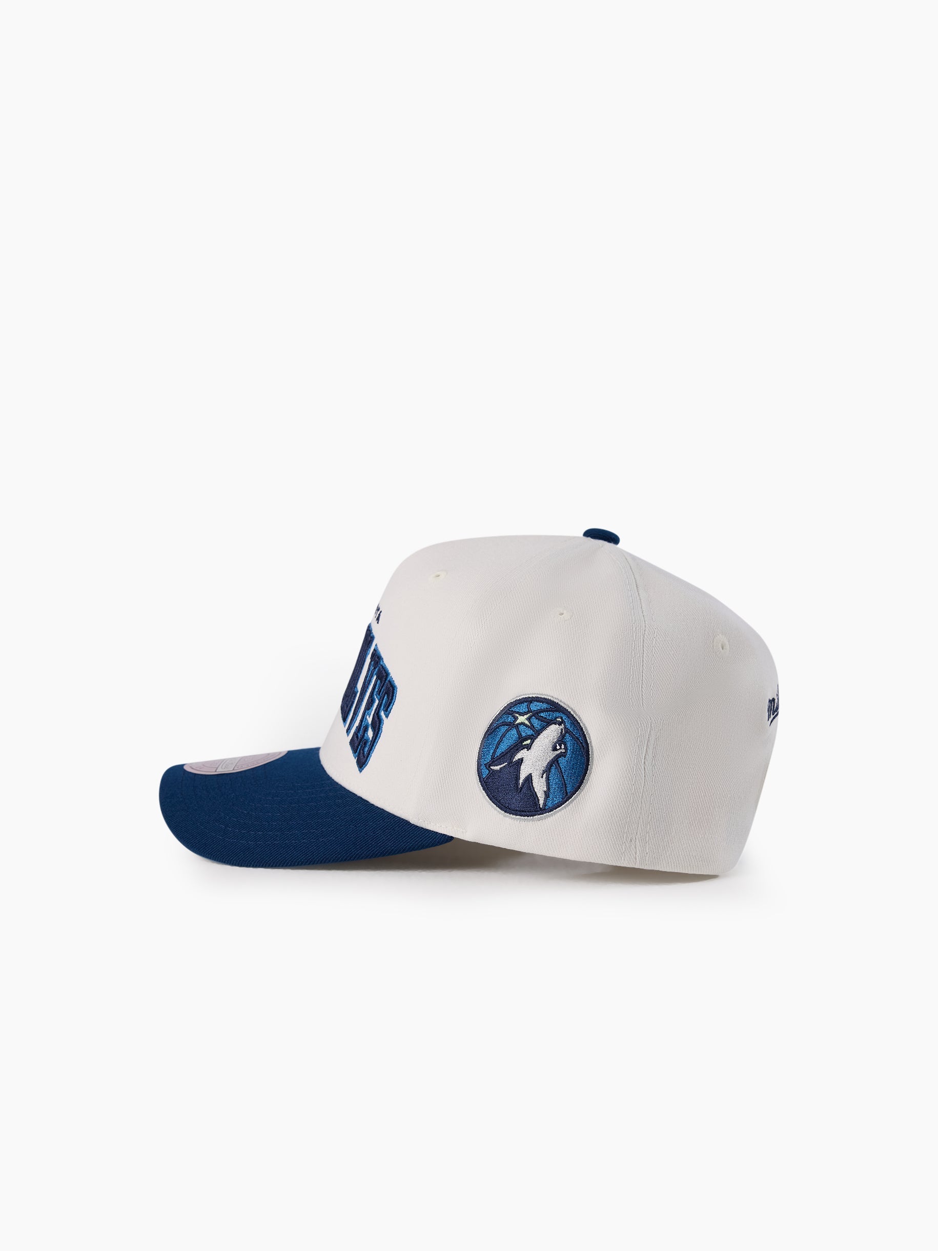 Mitchell & Ness NBA Flexfit 110 Team Arch Minnesota Timberwolves