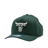 Mitchell & Ness NBA Flexfit 110 Winter Colour Chicago Bulls Pine Needle Green