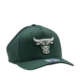 Mitchell & Ness NBA Flexfit 110 Winter Colour Chicago Bulls Pine Needle Green
