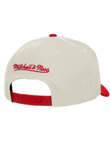 Mitchell & Ness NBA Pro Pinch 2Tone Chrome Team Chicago Bulls