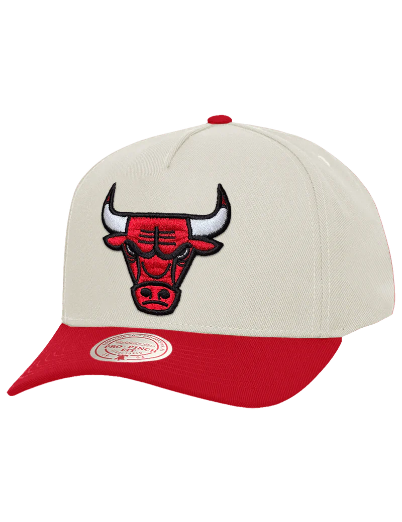 Mitchell & Ness NBA Pro Pinch 2Tone Chrome Team Chicago Bulls