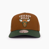 Mitchell & Ness NBA Stoop Pro Pinch Chicago Bulls Tan Green