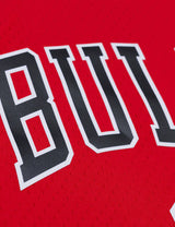 Mitchell & Ness NBA Swingman Jersey Chicago Bulls Derrick Rose #1 08-09 Red