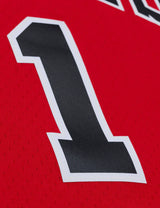 Mitchell & Ness NBA Swingman Jersey Chicago Bulls Derrick Rose #1 08-09 Red