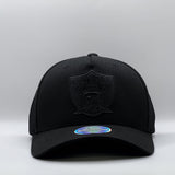 Mitchell & Ness NFL Flexfit 110 Black On Black Las Vegas Raiders