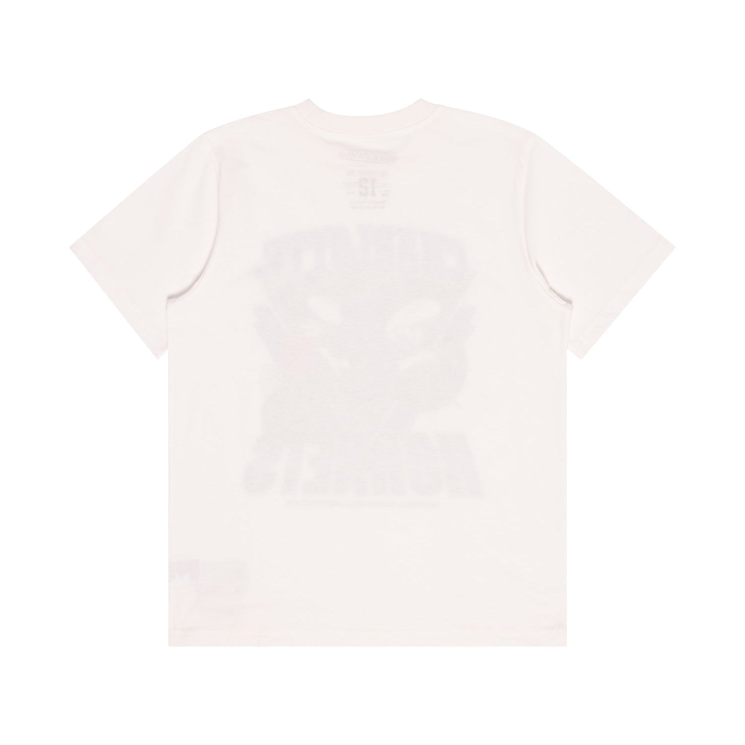 Mitchell & Ness Youth NBA Trigon Tee Charlotte Hornets Vintage White