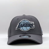 New Era 39Thirty NBA Los Angeles Lakers Graphite Sky Blue