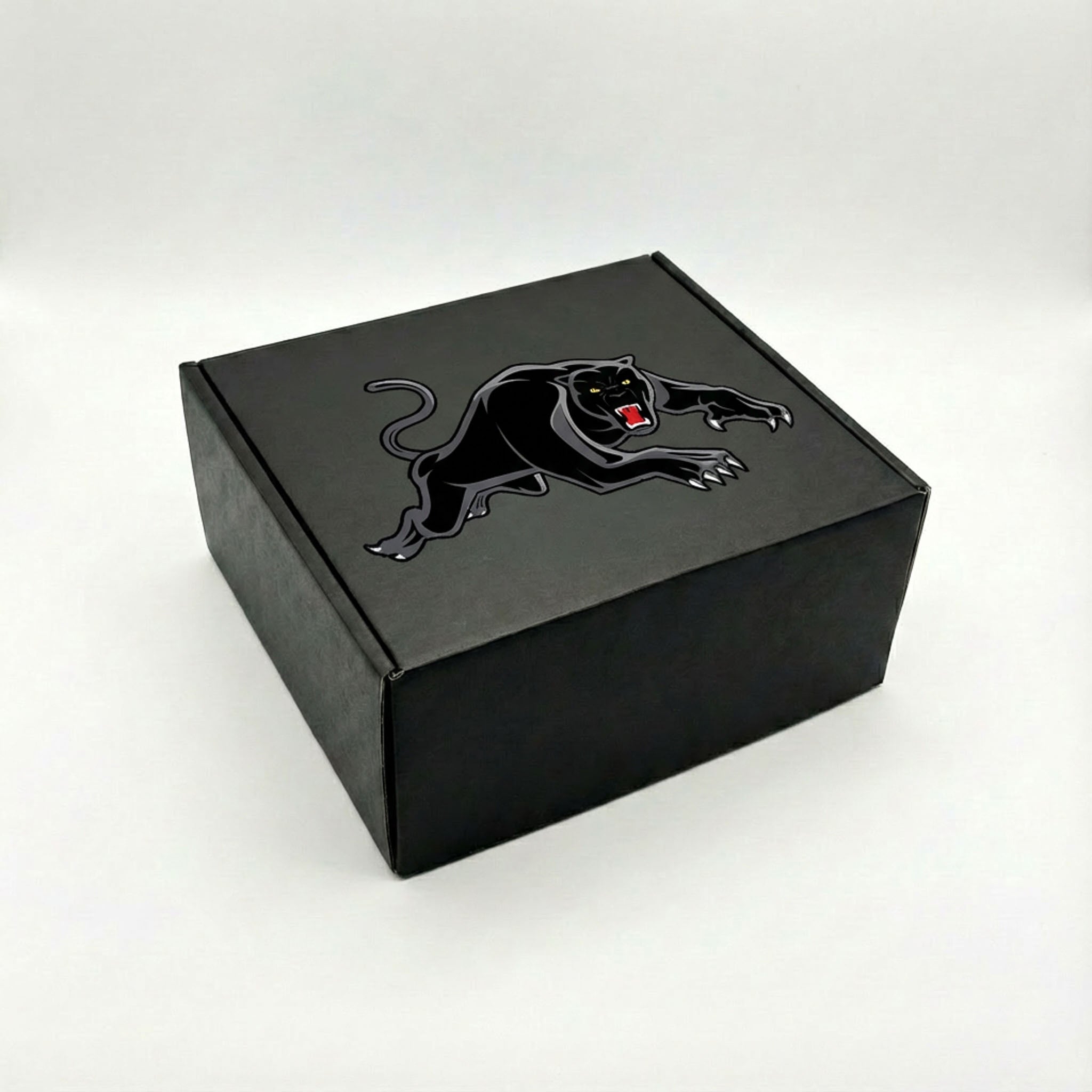 CAPZ NRL Penrith Panthers Headwear Mystery Box